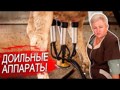 Видео: Доильный аппарат для коров. Какой доильный аппарат лучше?