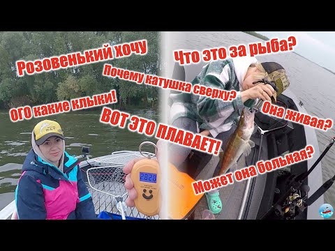 Видео: Рыбалка с жёнами! Отдых с палатками на реке Ока