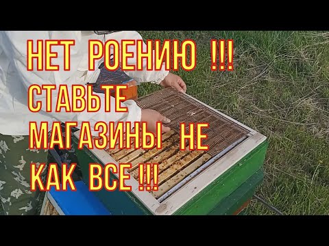 Видео: Ставьте магазины не как все.Как не допустить роения. Следующая работа из моей системы пчеловождения.