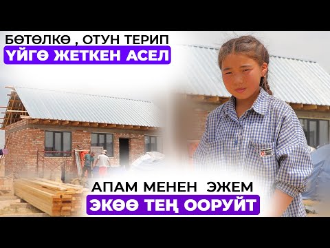 Видео: Апам киндигимди ɵзү кесип, тазикке салып койгон экен