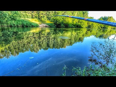Видео: 5 МИНУТ БОРЬБЫ С ГИГАНТОМ И МОРЕ АДРЕНАЛИНА!РЫБАЛКА НА ПОПЛАВОК У ДОМА!🎣