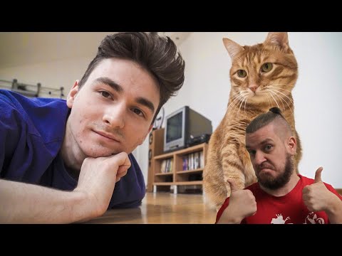 Видео: РЕБОРН СМОТРИТ ► ЧТО МЫ ДЕЛАЕМ ЗА ДЕНЬ? ► РЕАКЦИЯ НА TheBrianMaps