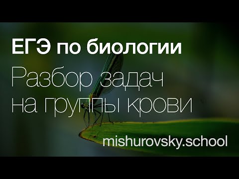 Видео: Генетические задачи на группы крови: разбор решений | Биология ЕГЭ