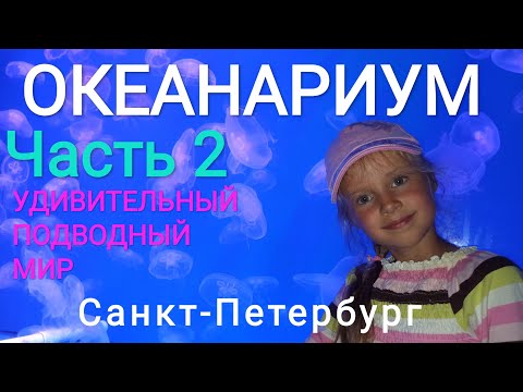 Видео: ОКЕАНАРИУМ 🐠САНКТ-ПЕТЕРБУРГ🐡ЧАСТЬ 2 Удивительный подводный мир🦈