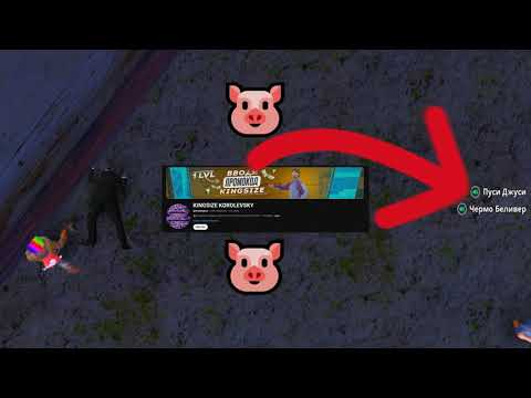 Видео: Я софтер