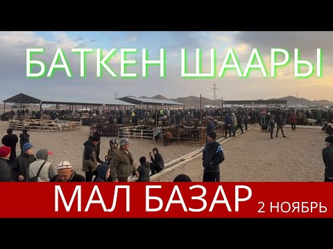 Видео: БАТКЕН: МАЛ БАЗАР 2 НОЯБРЬ