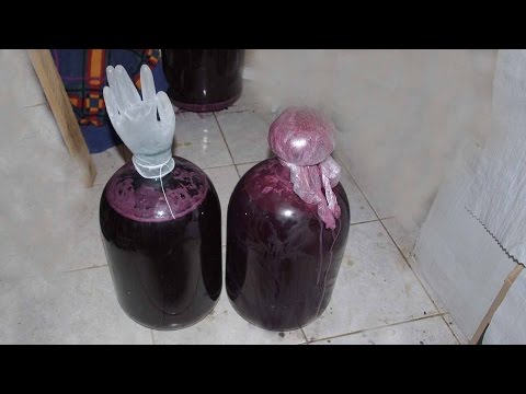 Видео: @Домашнее вино из винограда Кудерка урожая 2015