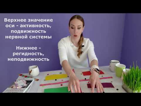 Видео: Лекция в 20 минут для студентов. Темперамент. Акцентуации и черты характера. 3D модель характера.