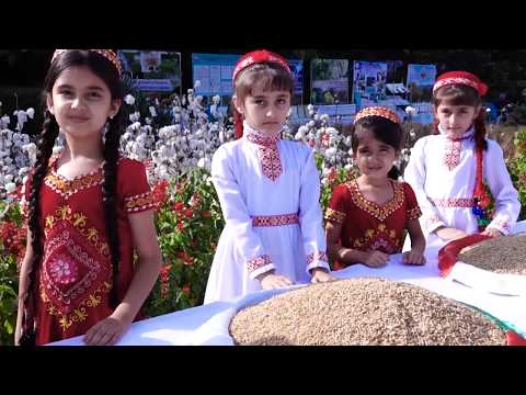 Видео: ИДИ МЕХРГОН - MEHRGON...