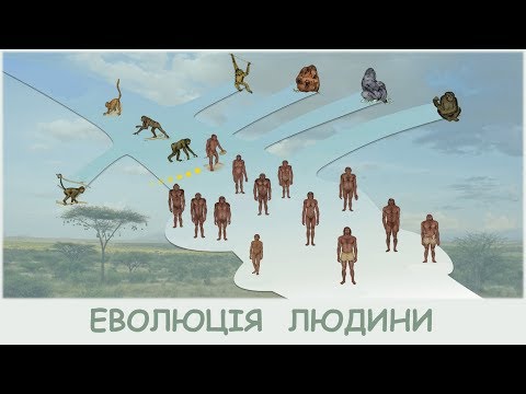 Видео: Антропогенез: походження та еволюція людини