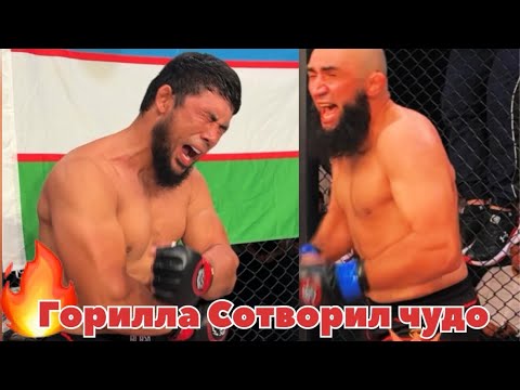 Видео: 🔴Горилла из Узбекистана сотворил чудо 😱BOBUR ABDULAZIZOV 🇺🇿vs 🇷🇺Akbar Gadzhiekperov