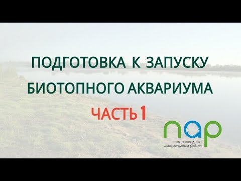 Видео: Биотопный аквариум- берег Оки (часть 1)