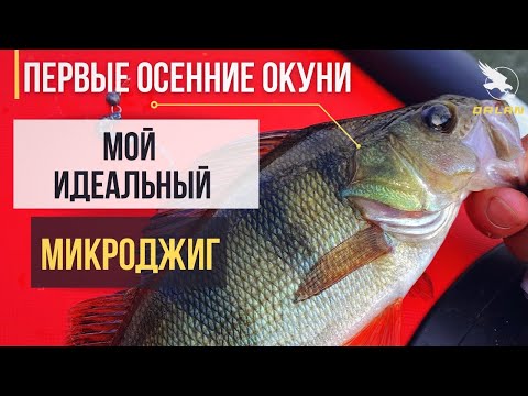 Видео: Осенний хищник | идеальный спиннинг для микроджига | река Воронеж | рыбалка в сентябре