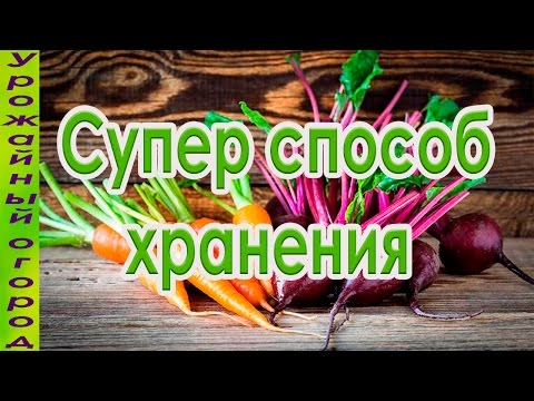 Видео: СУПЕР СПОСОБ ХРАНЕНИЯ МОРКОВИ И СВЕКЛЫ!