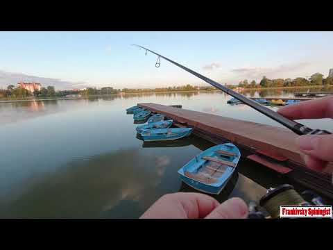 Видео: Street fishing "Міське Озеро" Івано-Франківськ. Коли клює краще хижак ранком чи вечором?