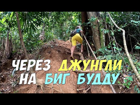 Видео: Тропа через джунгли на Большого Будду | остров Пхукет, Таиланд