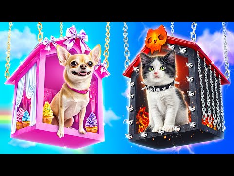 Видео: Хорошая собака vs плохая кошка! Мы построили секретные домики для питомцев!