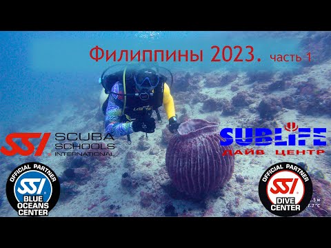 Видео: Дайвинг на Филиппинах. Остров Миндоро. LaLaguna Beach Club. октябрь 2023