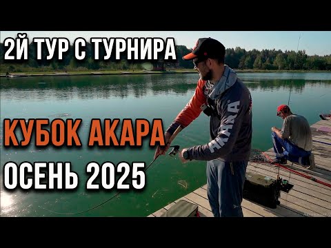 Видео: Второй тур турнира по ловле прудовой форели Кубок АКАРА осень 2025