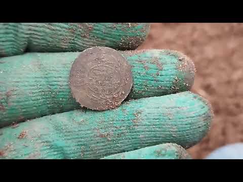 Видео: Поиски в декабре по распашке.