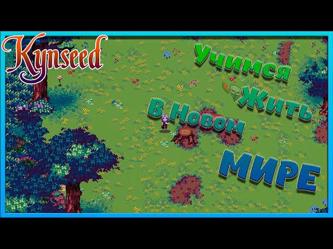 Видео: Гайд по выживанию в мире для ДЕРЕВЕНЩИН - Kynseed №2