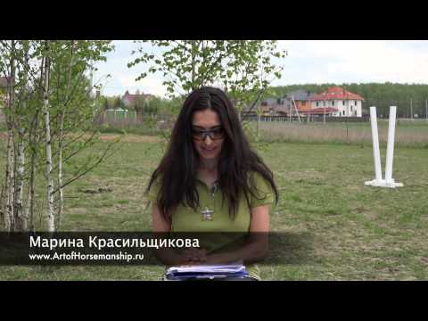 Видео: Лошадь лягается