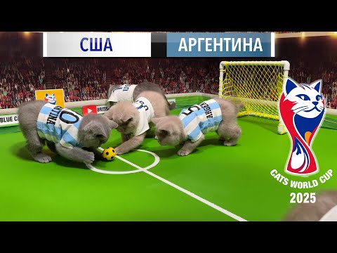 Видео: 🎉 ЧЕМПИОНАТ МИРА СРЕДИ КОТОВ 2025! 🐾 США 🇺🇸 ПРОТИВ АРГЕНТИНЫ 🇦🇷 | 33 КОТЁНКА