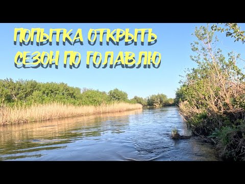 Видео: Попытка открыть сезон 2025 по голавлю