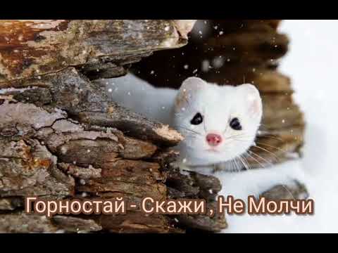 Видео: Горностай - Скажи,Не Молчи|Шоу "Маска-4"|[2-Выпуск❤️‍🩹]