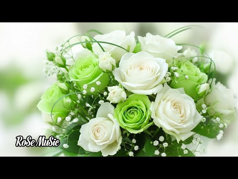 Видео: 🌿Лучшие мелодии Сергея🌺ГрищукаЦелебная музыка для сердца🌺Успокаивающие мелодии для души