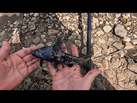 Видео: Приморский край. Река Спасовка.