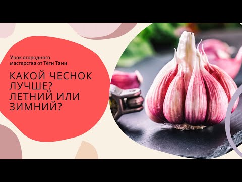 Видео: 761. Какой чеснок лучше...летний или зимний...