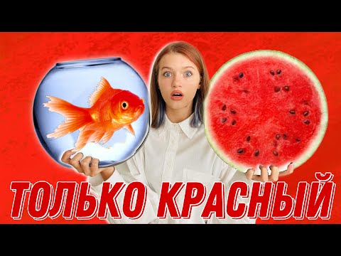 Видео: 24 ЧАСА в одном цвете * ТОЛЬКО КРАСНЫЙ * Покрасила волосы и НОВЫЙ МАНИКЮР / НАША МАША