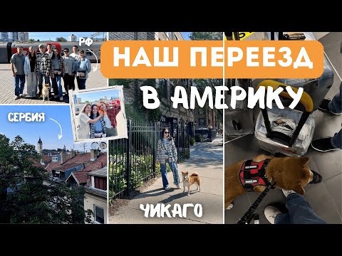 Видео: НАШ ПЕРЕЕЗД В США/ЧИКАГО: как прошёл перелет с собакой | проездом в Белграде