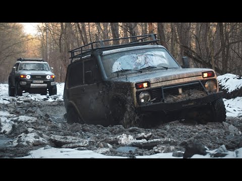 Видео: На что способна НИВА в лесу