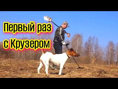 Видео: MAKRO MULTI KRUZER  ОТКРЫТИЕ СЕЗОНА 2018