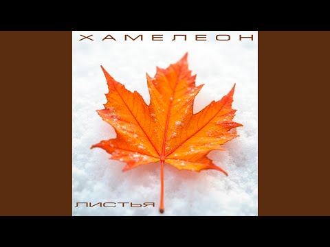 Видео: Листья