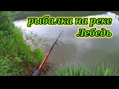 Видео: Рыбалка на реке Лебедь на спиннинг 👆