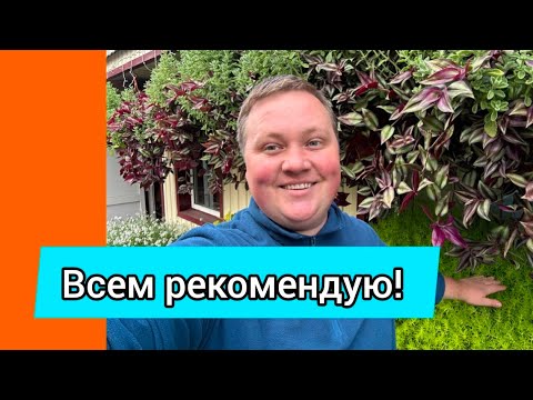 Видео: Я влюбился в это растение!😍👍