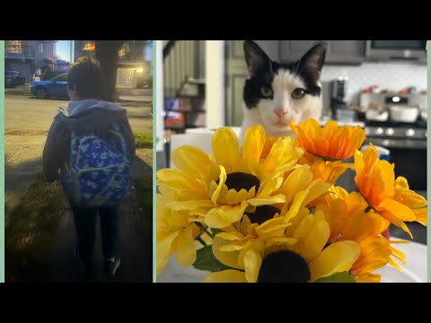 Видео: Мій понеділок я відпочиваю 