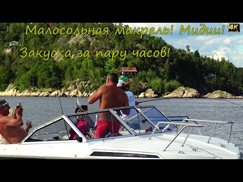 Видео: Как поймать макрель в Норвегии? Малосольная макрель! Mидии! Закуска за пару часов! 4K.