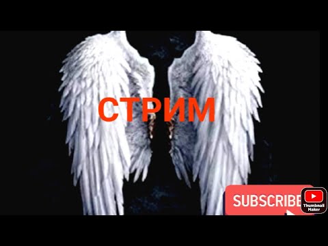 Видео: Возвращение трансляций