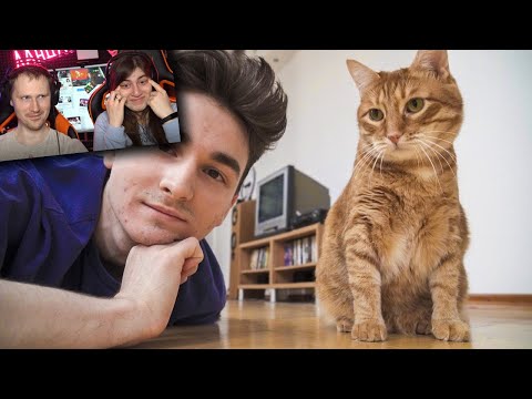 Видео: ЧТО МЫ ДЕЛАЕМ ЗА ДЕНЬ? Реакция на Брайна Мапса