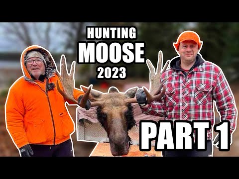 Видео: Охота на лося в Канаде 2023 - Ч.1. Hunting moose in Canada 2023 - P.1.