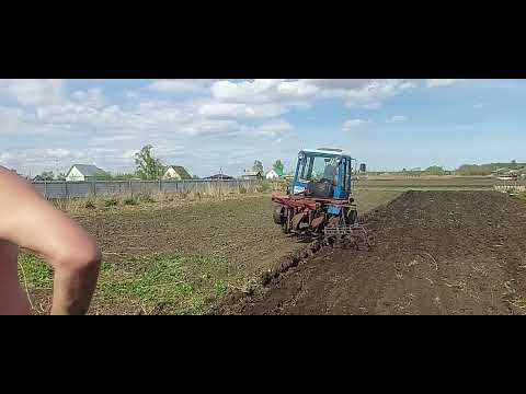 Видео: Пахота 8.05.2025