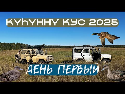 Видео: Осенняя охота на уток | Куhунну кус 2025 ч1