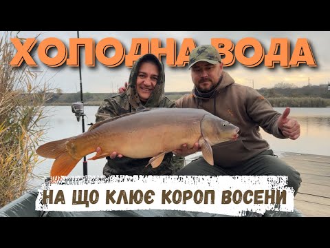 Видео: РОЗІГРАШ !!! Карпфішинг по холодній воді. На що клює короп восени…#carpfishing #аквасити #риболовля 
