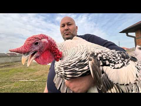 Видео: Праздничная индейка в афганском казане: вкусно и просто