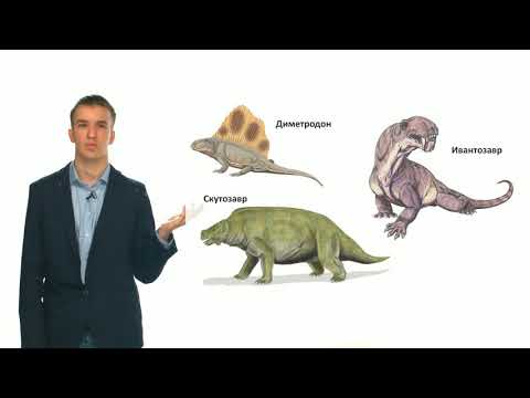 Видео: Зоология позвоночных. Палеонтологическая летопись Земли (Семенцов М. В.)