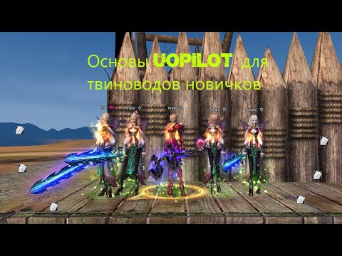 Видео: Базовые знания uopilot для твиноводов perfect world | Asgard PW